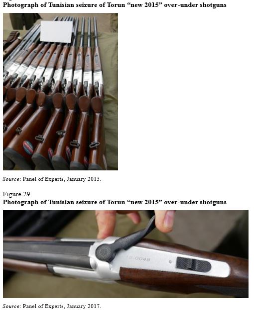 (UN Libya Experts Panel).