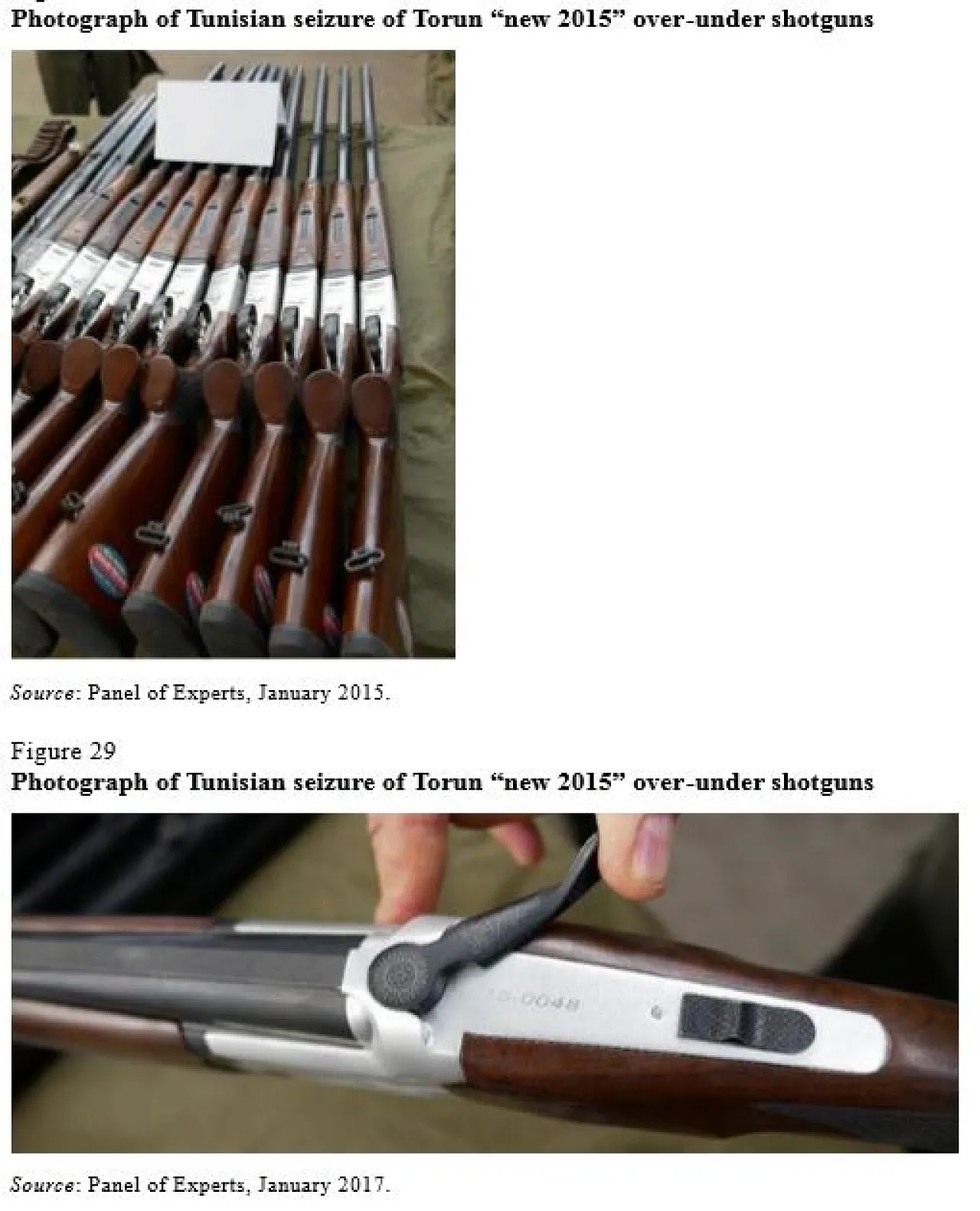 (UN Libya Experts Panel).