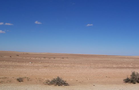 Forty-eight Egyptian illegal workers die crossing into Libya