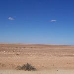 Forty-eight Egyptian illegal workers die crossing into Libya