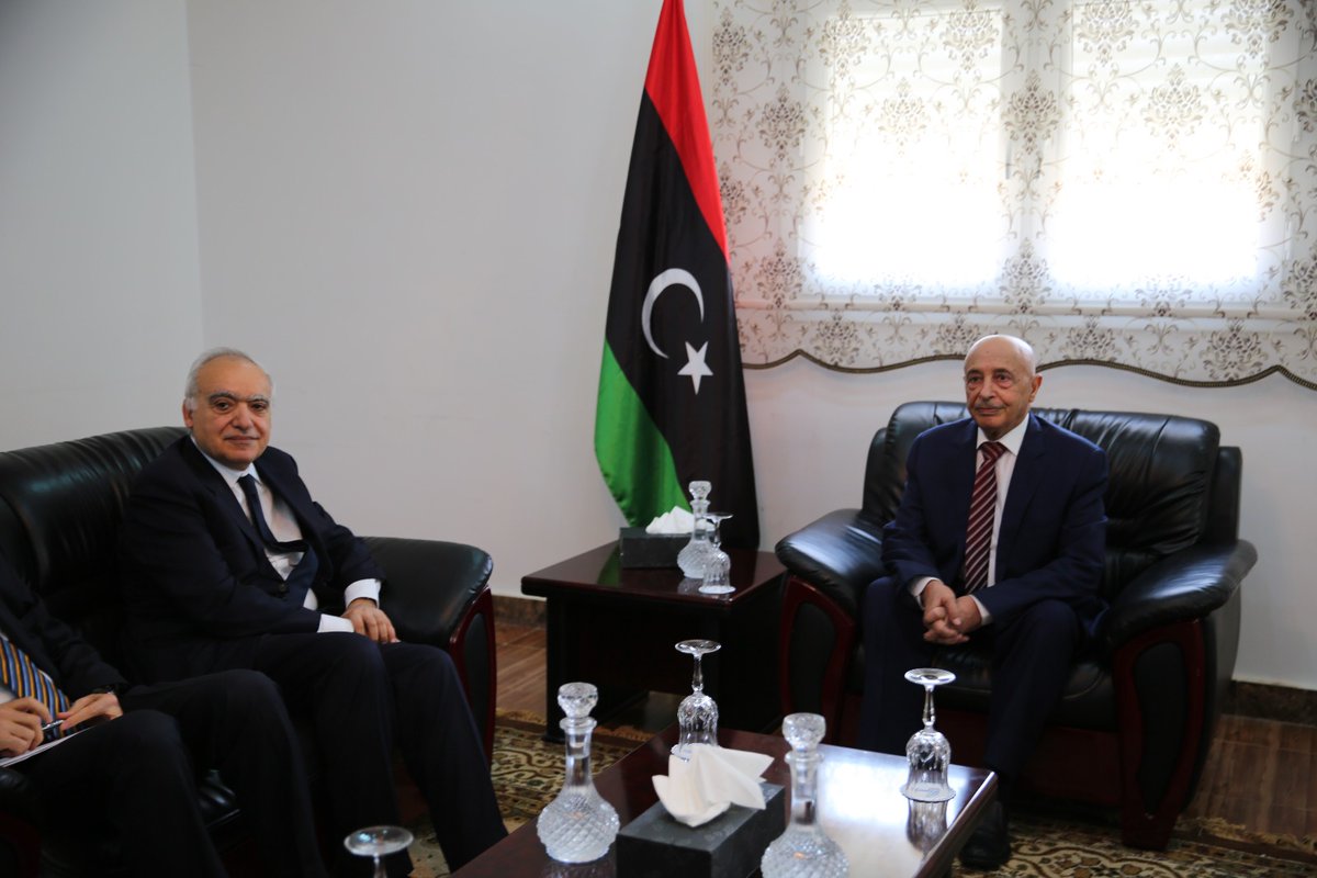 UN special envoy in Guba for talks with Ageela Saleh