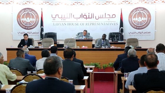 Activists call on HoR to reject draft constitution as Amazigh plan legal action against it