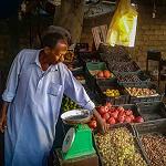 Libyan food prices increased by 11 percent since June: a report