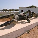 Philaeni statues' disappearance refuted by antiquities authorities