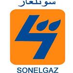 Algeria's Sonelgaz discusses electricity exports with GECOL