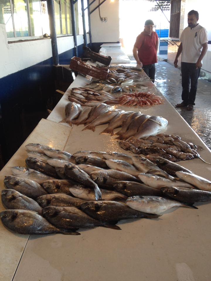Benghazi's Juliana fish market reopened today (Photo: social media)