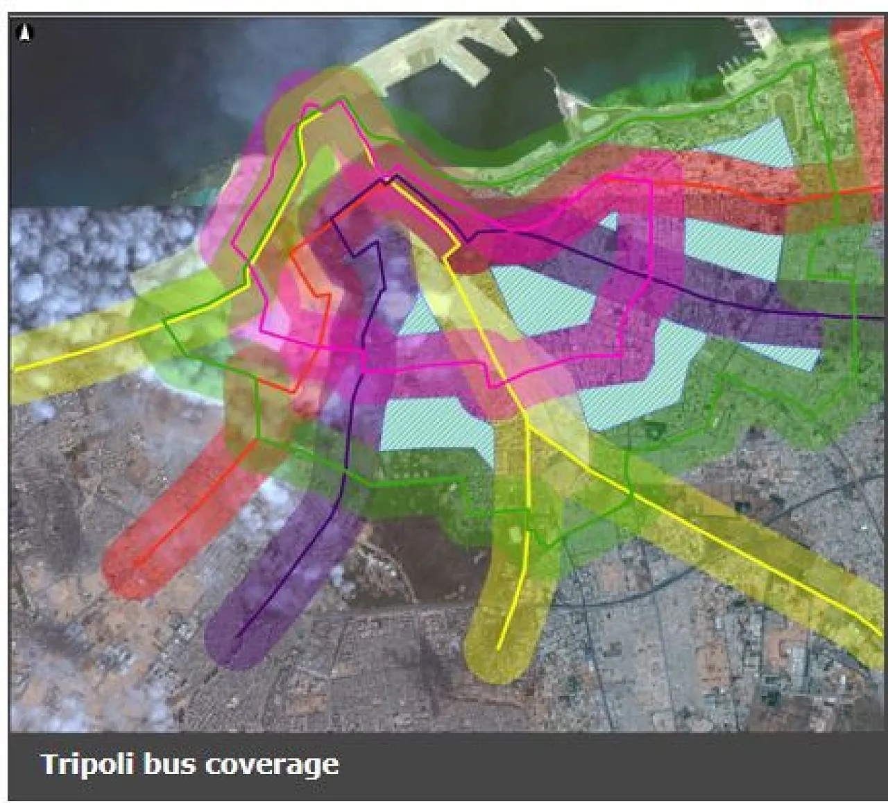 Tripoli's proposed bus system (Photo: BFI).
