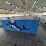 Tripoli fish market reopens