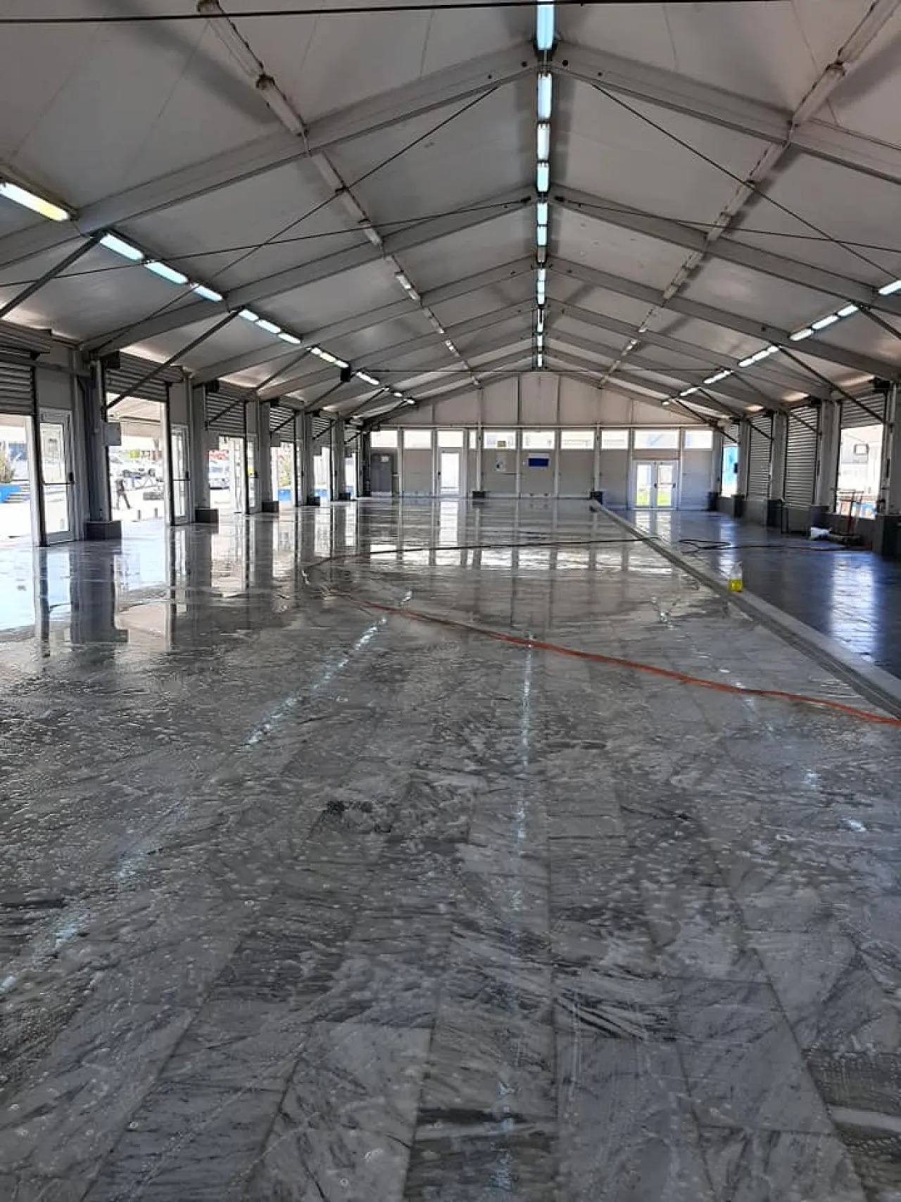 Tripoli's wholesale fish market (Photo: Tripoli Fish Market).