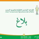 Libyan market may reopen for Tunisian agricultural products next week: Tunisian Agri Union