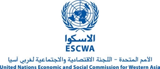 Launch of UN 2020 e-Government Survey in Arabic