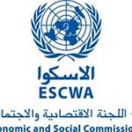 Launch of UN 2020 e-Government Survey in Arabic