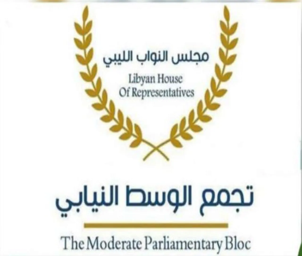 The Moderate HoR Bloc called for an immediate convening of the full HoR at a neutral venue in order to carry out its duties (Photo: The Moderate HoR Bloc).