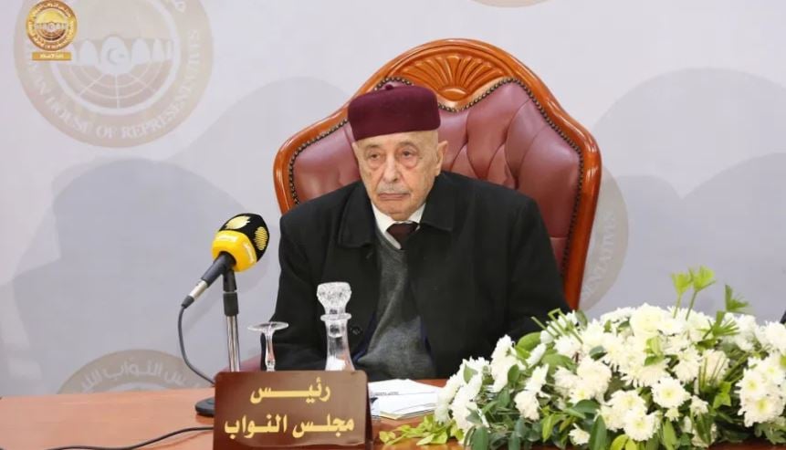 Ageela Saleh (Photo: HoR).