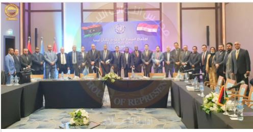 HoR and HSC Constitutional Committee agree to hold constitution referendum