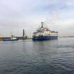 Ship transporting unhealthy livestock forced to leave Tripoli port back to Spain