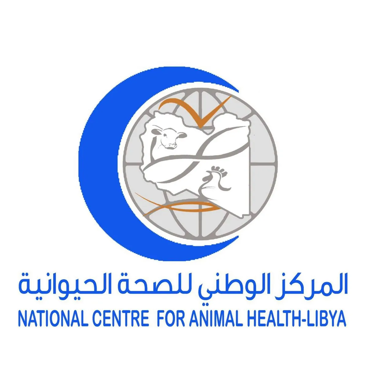 The NCAH has agreed import protocols for livestock with Spain (Photo: NCAH).