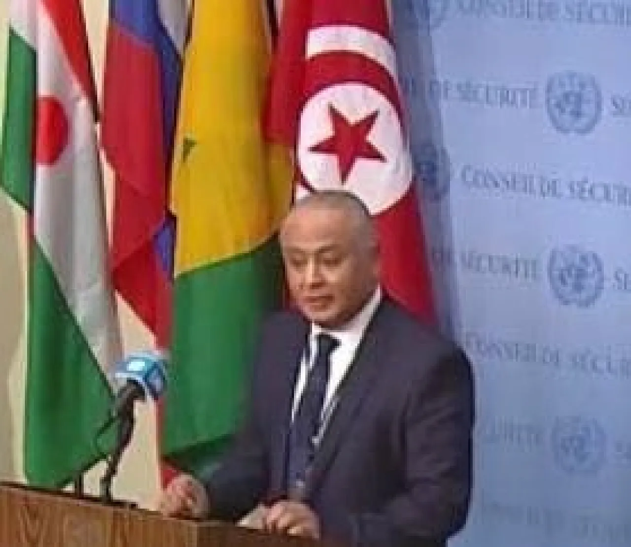 Libya will top Tunisia-led Security Council January agenda (Photo: Tunisian Foreign Ministry).