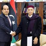 Maetig meets Saleh in framework of  unifying budget and state institutions