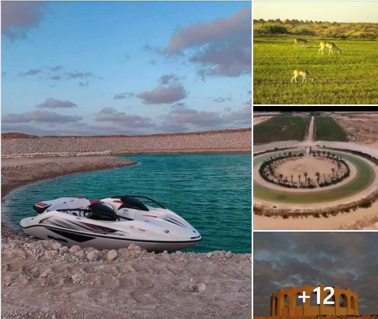 Misrata Nature Reserve making good progress - but not ready to open