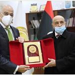 HoR head Saleh meets Greek Foreign Minister Dendias in Gubba
