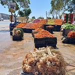 Tunisia imposes fruit and vegetables export ban to all countries – including its largest importer Libya