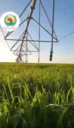Government to support private sector grain producers in south, including centre-pivot irrigation projects