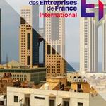 The French-Libyan Business Forum, Paris 20 June