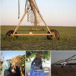 Tatweer and WFP assess 6,750 farms in Fezzan as part of agricultural development project