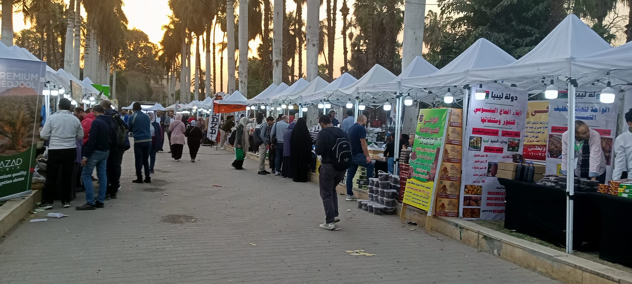 Libya wins several top prizes at Cairo Dates Festival