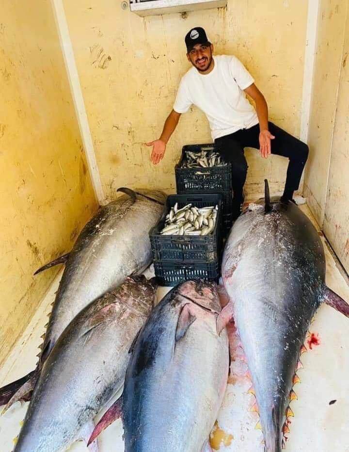 Libya loses US$ 5 bn annually due to illegal Tuna fishing within its territorial waters