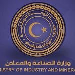 Minister of Industry and Minerals discusses with Chinese companies prospects for industrial and investment cooperation