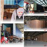 Al Sahel Holding exports several Libyan products to African countries