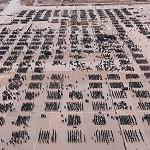 Ministry of Interior holds first ever congregation of thousands of members in a display in Tripoli