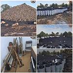 Three illegal tree fellers detained in east – cut trees used for charcoal
