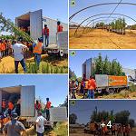 First batch of trees for Tripoli’s one million tree planting project arrive – over 45,000 trees planted in 16 months