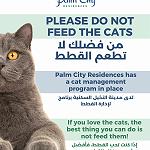 Palm City Residences implements international standard Stray Cat Management Programme